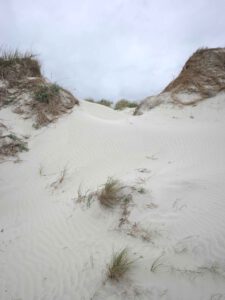 TOURISTE, VOL.1 : FINISTERE