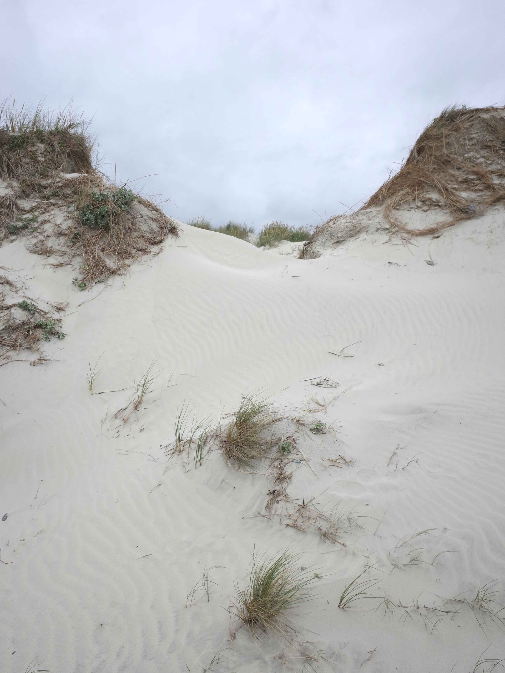 TOURISTE, VOL.1 : FINISTERE